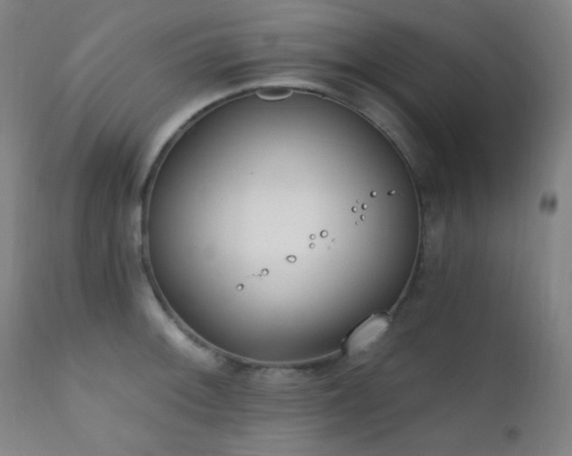 X0000111221092200907021329