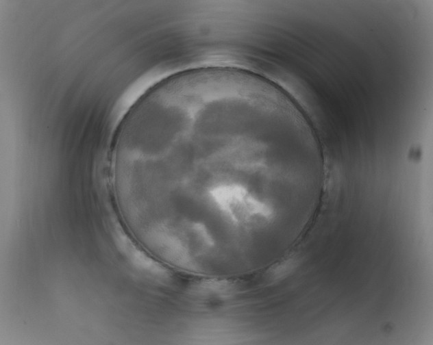 X0000111221094200907021329