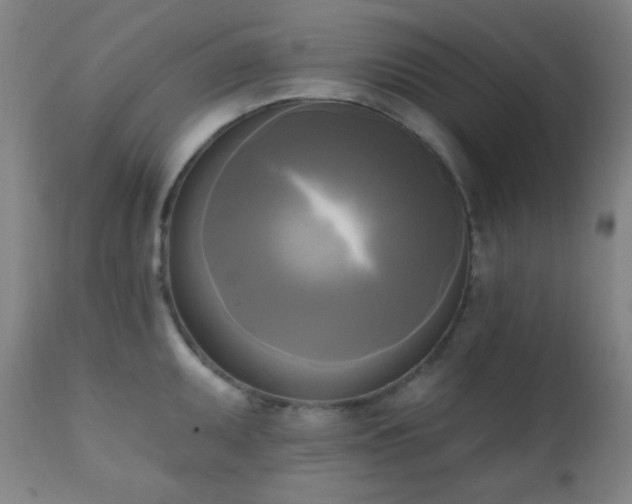 X0000111221095200907021329
