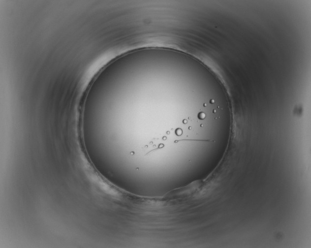 X0000111221096200907021329