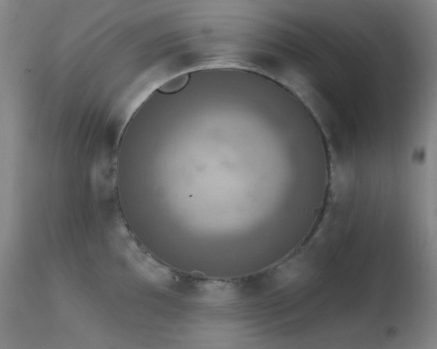 X0000111221097200907021329