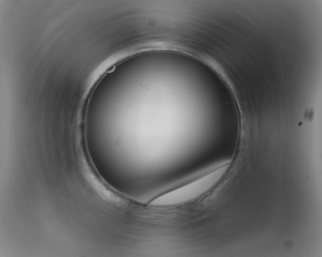 X0000111221098200907021329