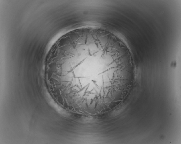 X0000111221099200907021329