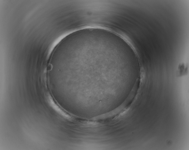 X0000111221100200907021329