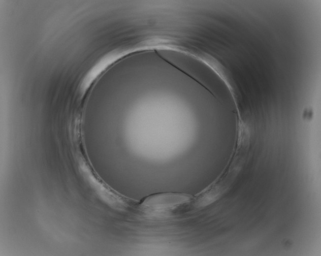 X0000111221101200907021329