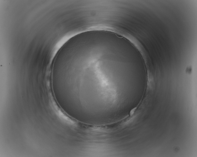 X0000111221102200907021329