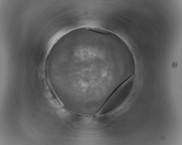 X0000111221104200907021329