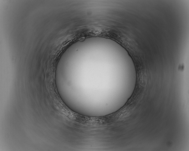 X0000111221105200907021328