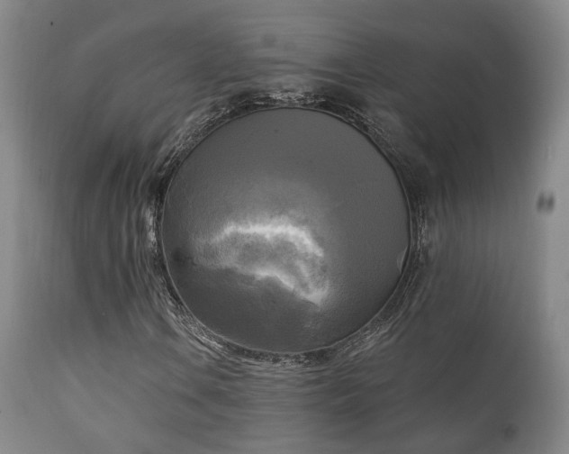 X0000111221106200907021328