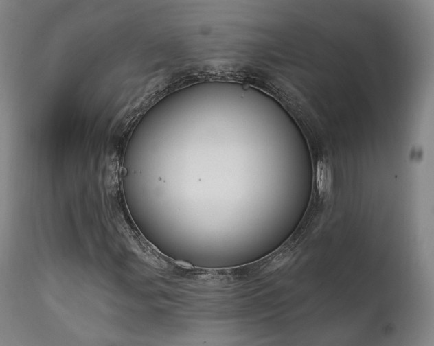X0000111221107200907021328