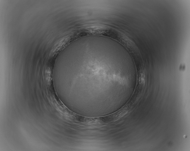 X0000111221108200907021328