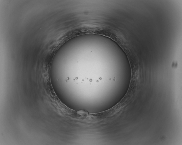 X0000111221109200907021328