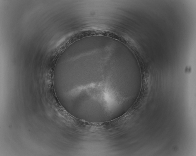 X0000111221110200907021328