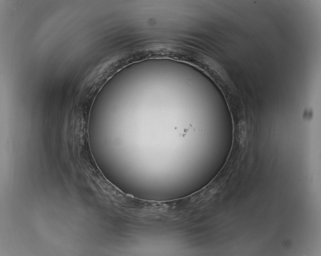 X0000111221111200907021328