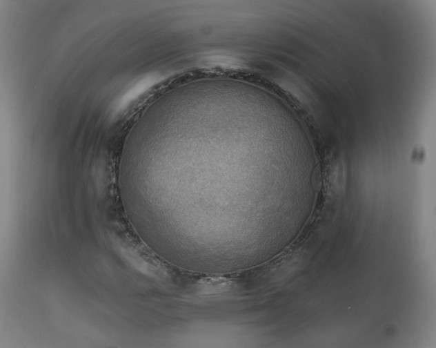 X0000111221112200907021328
