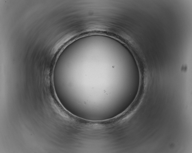 X0000111221113200907021328