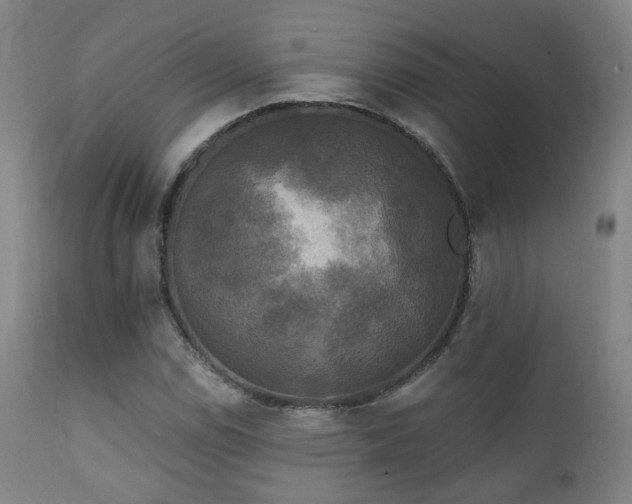X0000111221114200907021328