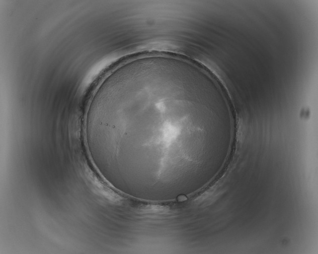X0000111221115200907021328