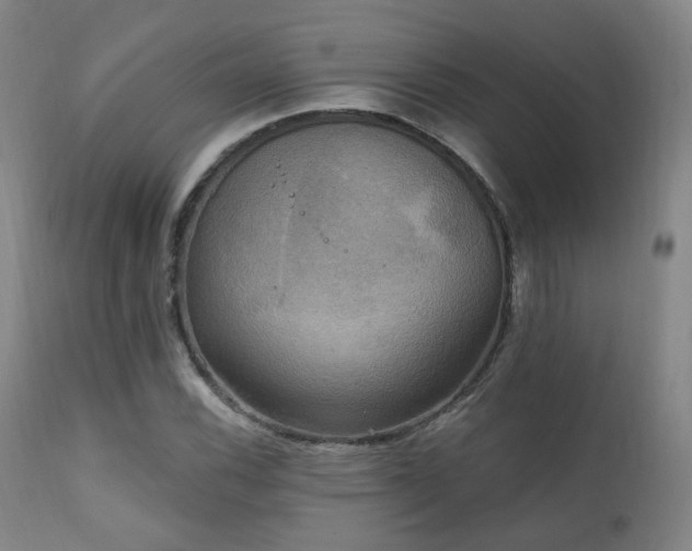 X0000111221116200907021328