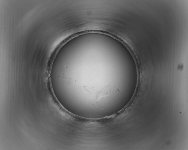 X0000111221119200907021328