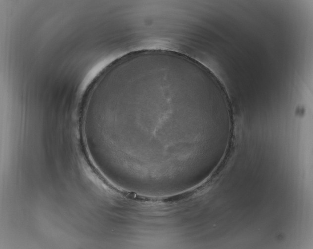 X0000111221120200907021328