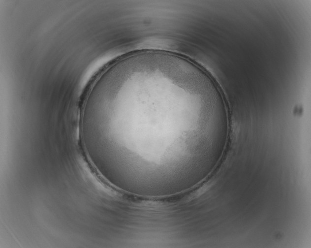X0000111221123200907021328