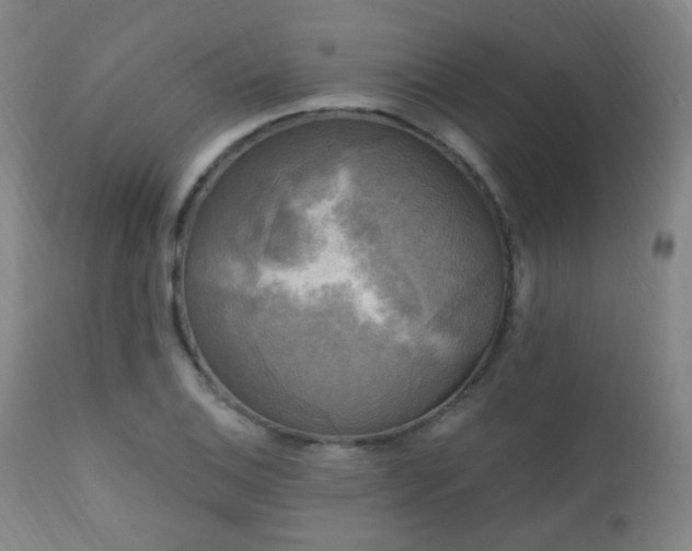X0000111221124200907021328