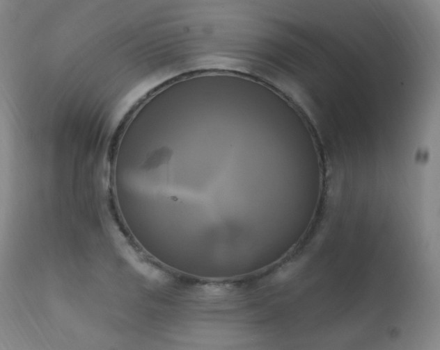 X0000111221125200907021328