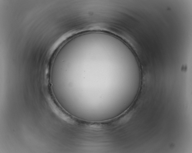 X0000111221126200907021328