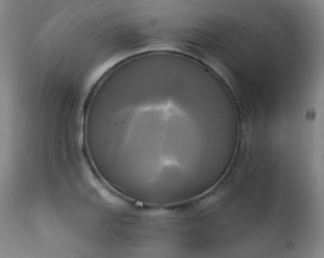 X0000111221127200907021328