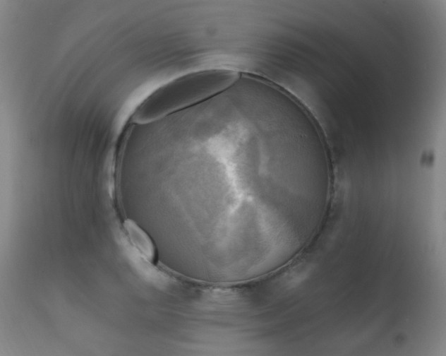 X0000111221128200907021328