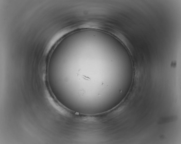 X0000111221131200907021328