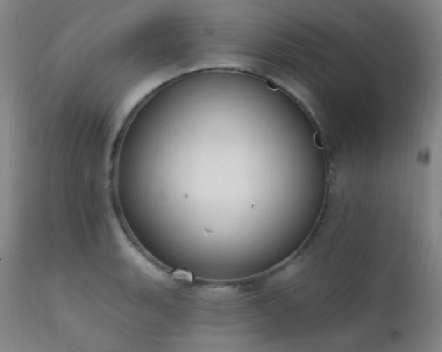 X0000111221135200907021328