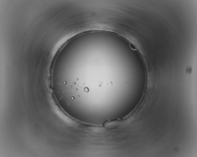 X0000111221136200907021328