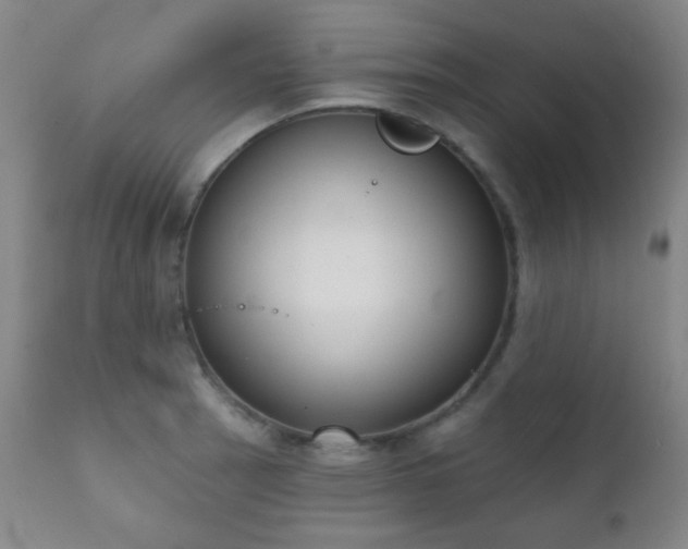 X0000111221137200907021328