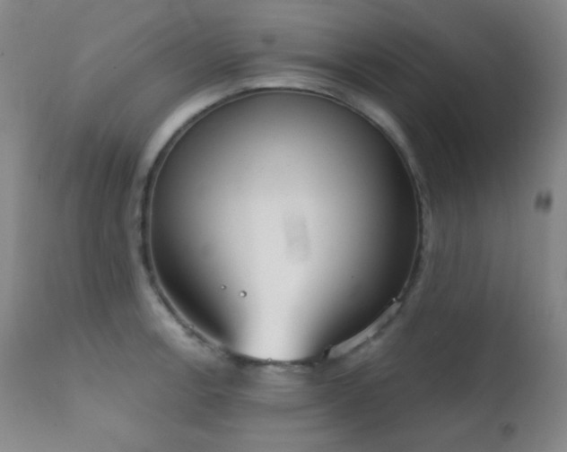 X0000111221138200907021328