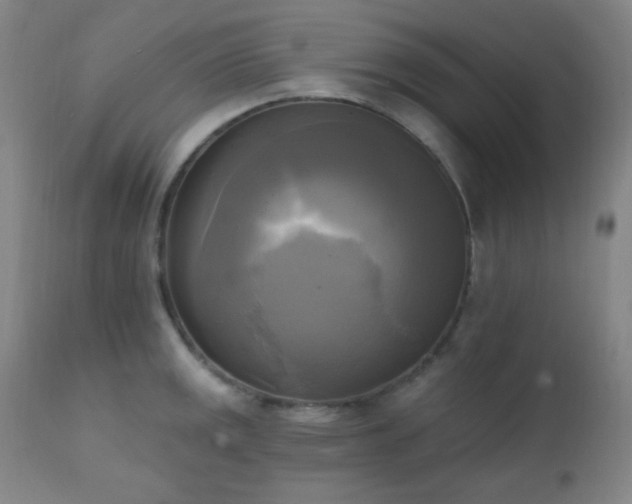 X0000111221141200907021329