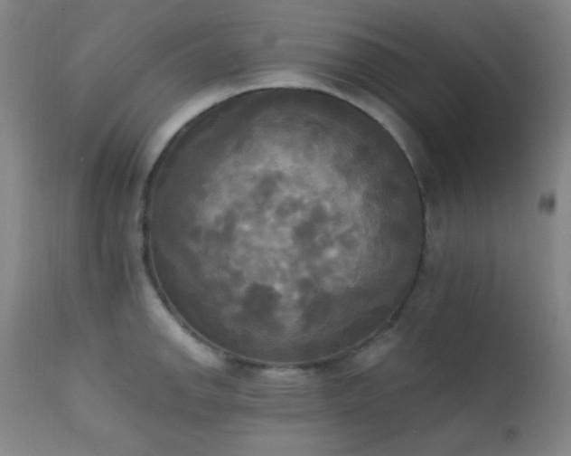 X0000111221142200907021329
