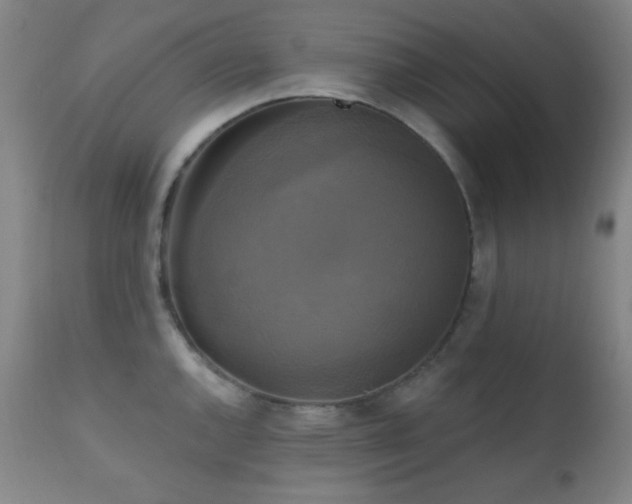 X0000111221144200907021329