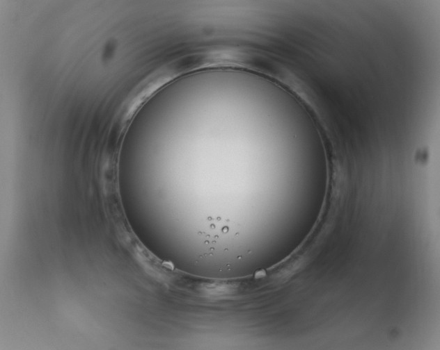 X0000111221145200907021329