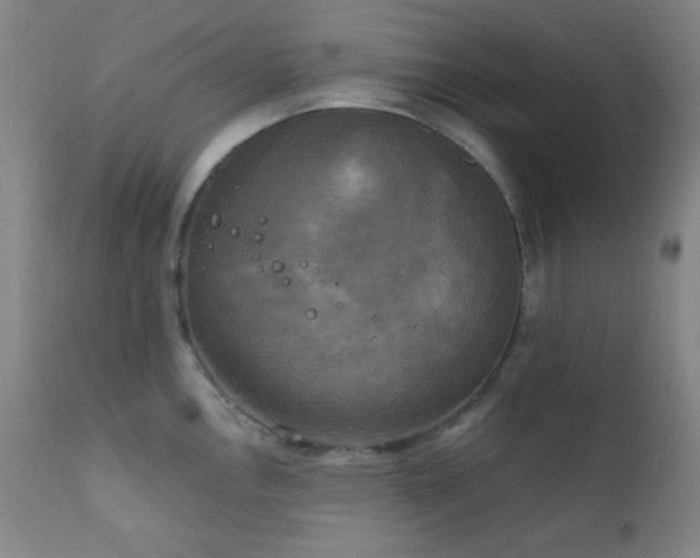X0000111221146200907021329