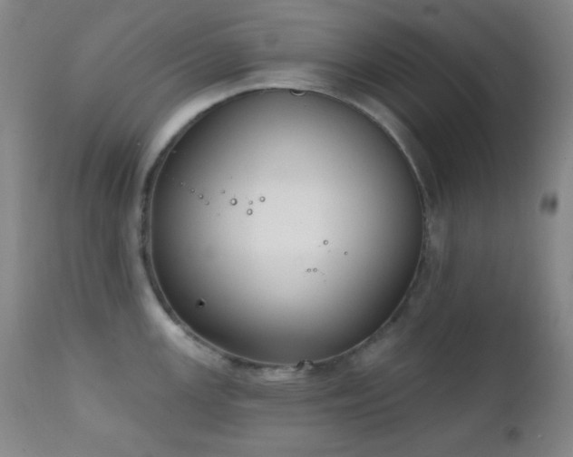 X0000111221147200907021329
