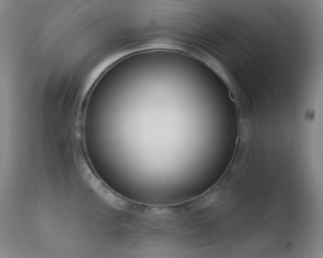 X0000111221148200907021329