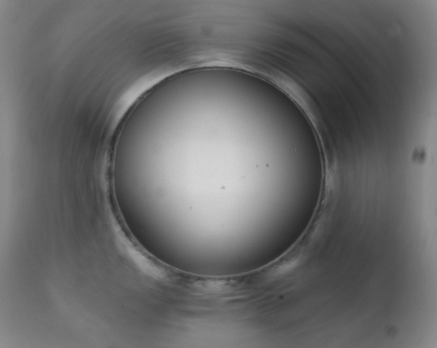 X0000111221149200907021329
