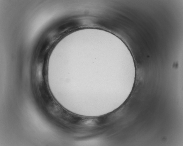 X0000111221150200907021329