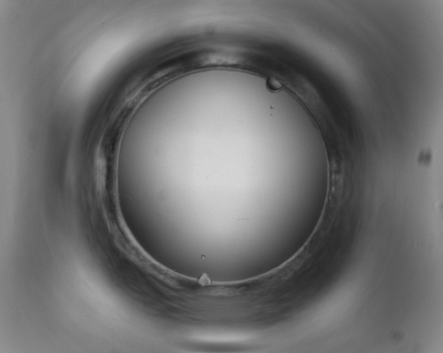 X0000111221151200907021329
