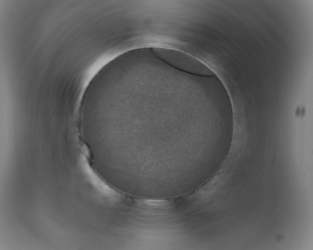 X0000111221152200907021329