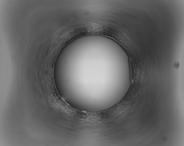 X0000111221153200907021328