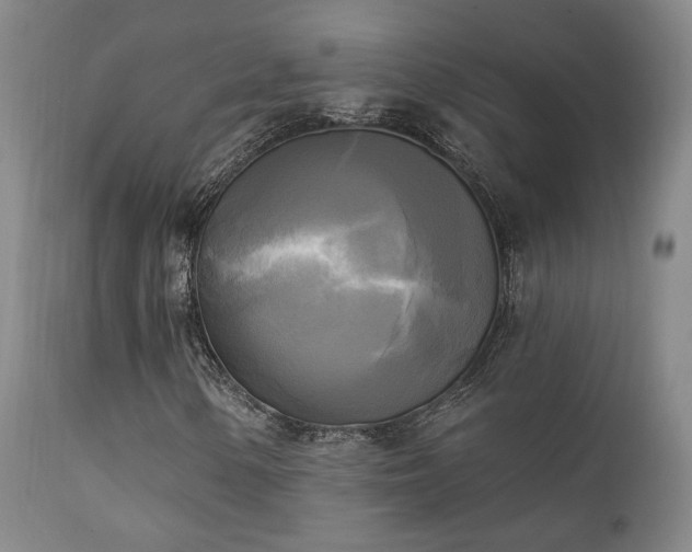 X0000111221154200907021328