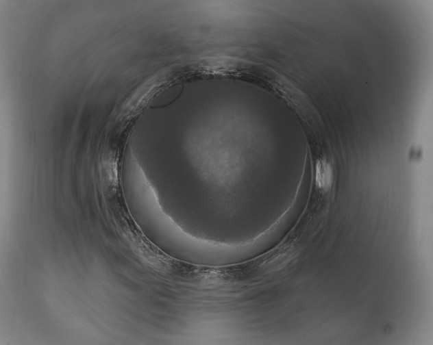 X0000111221155200907021328